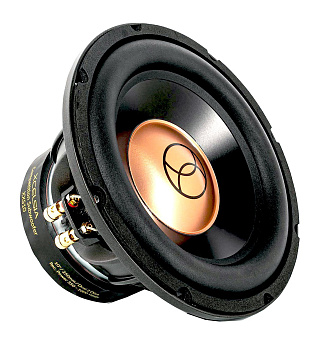 Сабвуфер Xcelsus Audio XXS10