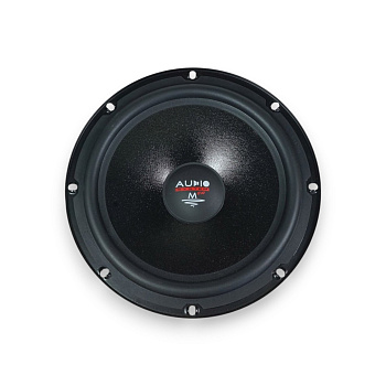 СЧ/НЧ динамик Audio System MS200EVO